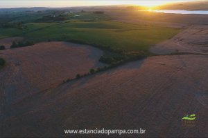 Fazenda Reconquista - Cachoeira do Sul.00_03_07_28.Quadro032_2dec6ed6c79cccfec21c91a5de3da0f43243b779.png